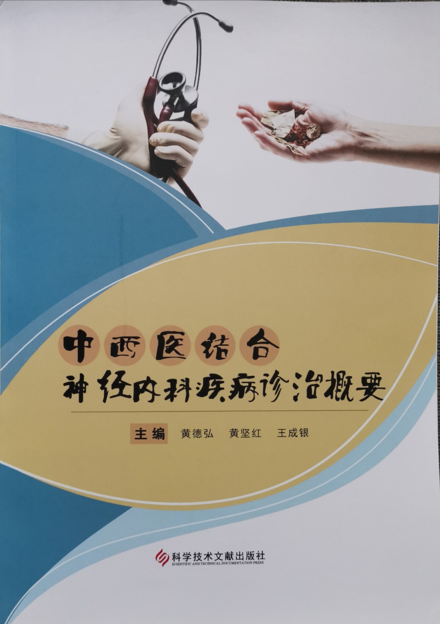 中医结合神经内科疾病诊治概要